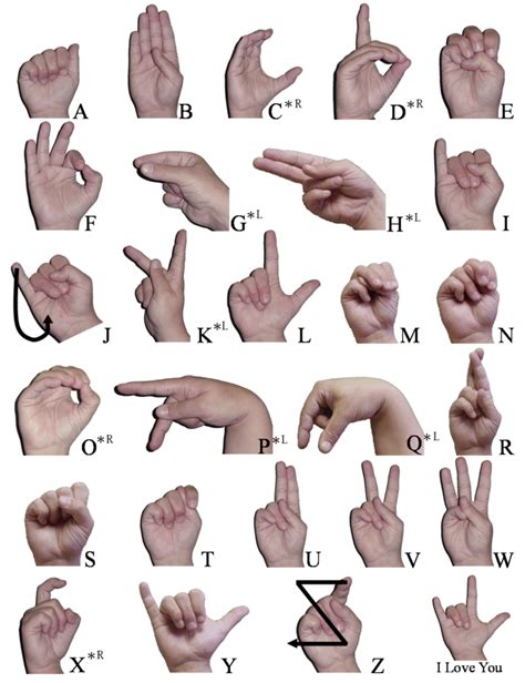 Fastest Sign Language 的图像结果