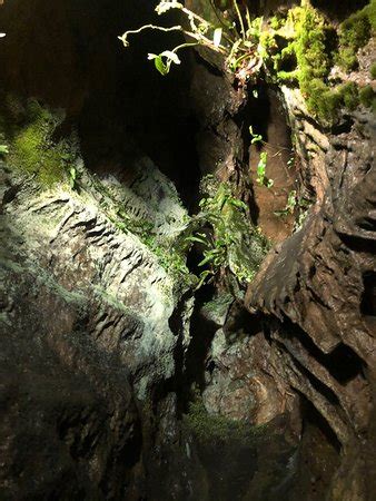 Cheddar Gorge & Caves - 2020 What to Know Before You Go (with Photos ...