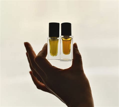 Niche vs. Designer Fragrances: What's the Difference? - Fernweh
