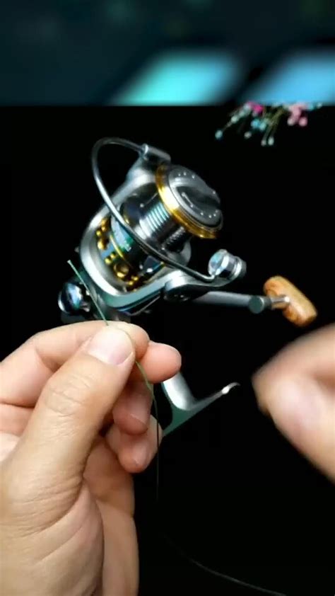 fishing 7 mile bridge marathon florida [Video] in 2024 | Fishing hook ...