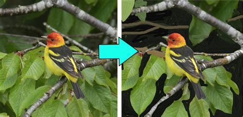 Image result for Pyrography Animals