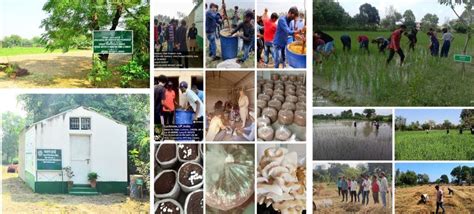 IIAST Farms – Practical Agricultural Training Grounds