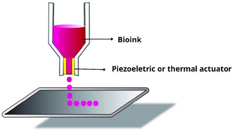 Inkjet bioprinting process. | Download Scientific Diagram