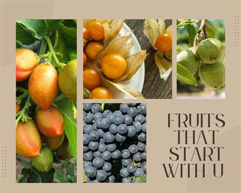 12 Unique Fruits That Start With U - The Roaming Fork