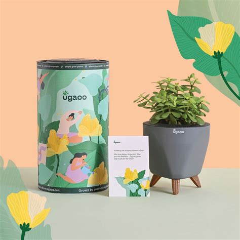 Jade Mini Women's Day Gift – Ugaoo