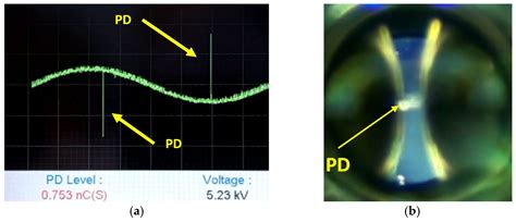 Characterization of Partial Discharges in Dielectric Oils Using High ...