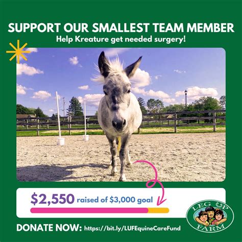**Kreature's surgery cost is almost completely covered! Help us raise ...