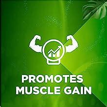 MuscleBlaze Tribulus 1000mg (60 Tablets) | Ayurveda For Performance ...