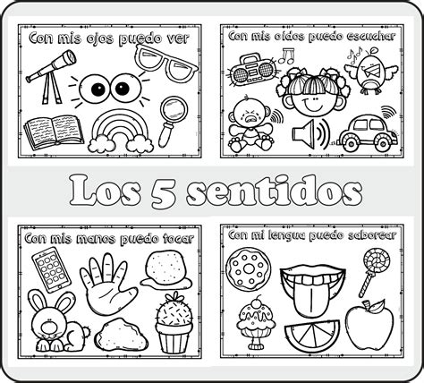Hojas De Trabajo Para Recortar Y Pegar Sobre Los Cinco Sentidos