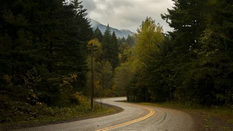 Download wallpaper 1366x768 road, turn, trees tablet, laptop hd background
