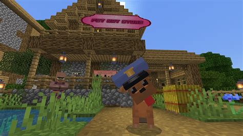 Image result for Lifeboat Minecraft IP Address PC Java Edition