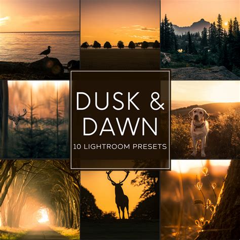 Dusk & Dawn Lightroom Presets Pack | Lightroom presets, Lightroom ...
