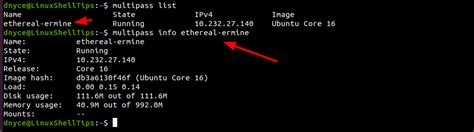 Image result for Ubuntu Multi Pass Tutorial