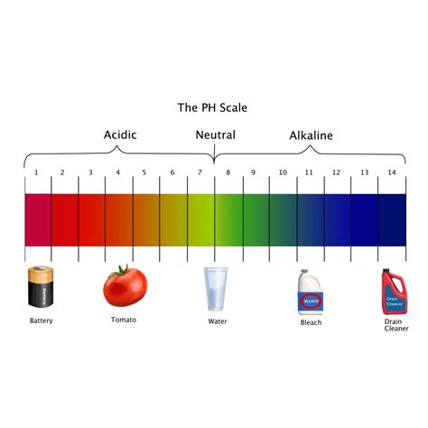 Image result for pH Scale Chart Printable