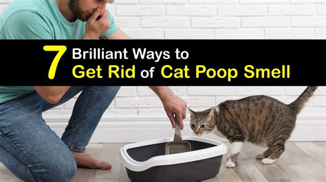 Smelly Cat Poop - Fast Ways to Get Rid of Cat Poop Odors