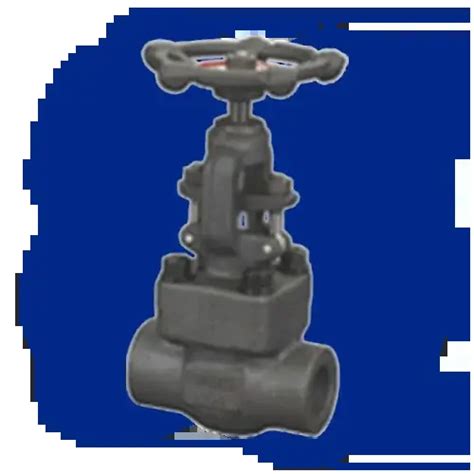 Forged Gate Valves–PRV Industries - Philippines