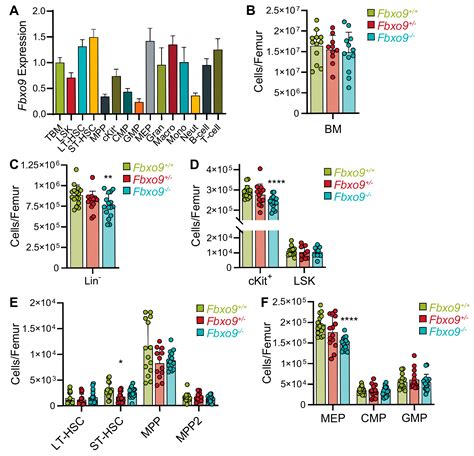 Loss of FBXO9 Enhances Proteasome Activity and Promotes Aggressiveness ...