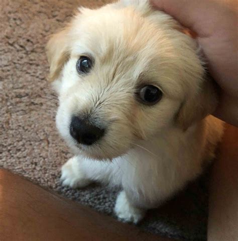 Image result for Better FPS in Minecraft Java