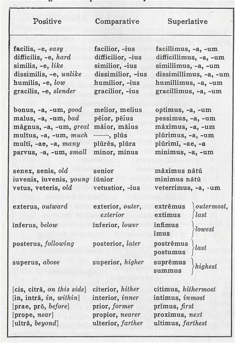 Latin 4th Declension Chart Noun Declension Practice Sheet | Latin And