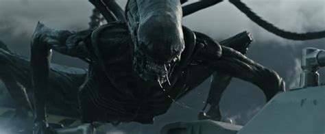 Image result for Alien Covenant Baby Neomorph