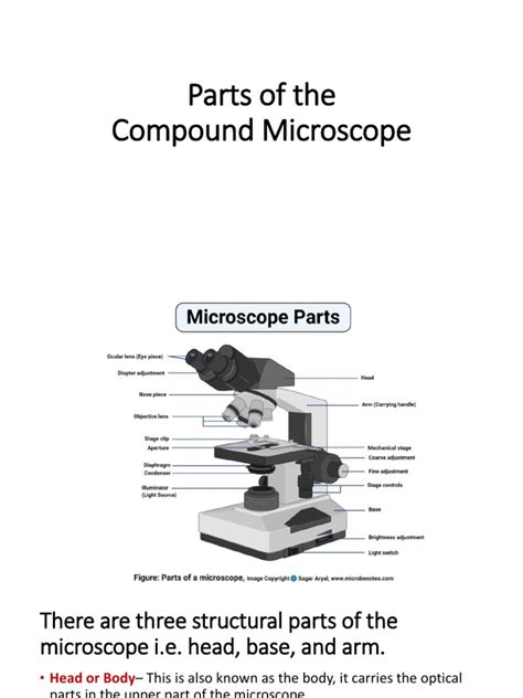 Image result for Compound Microscope Mirror