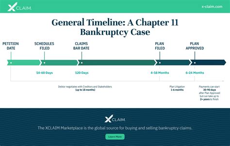 Explaining Chapter 11 Bankruptcy 的图像结果