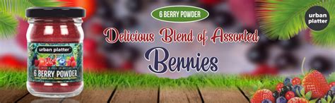 urban platter Freeze-Dried 6 Berry Powder, 40G / [Blueberry, Mulberry ...