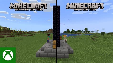 Image result for Minecraft Java and Bedrock Difference