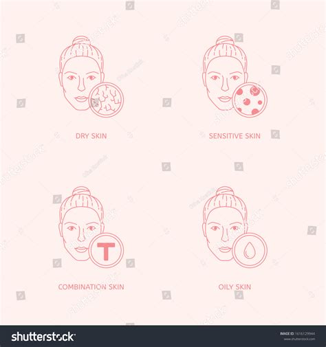 Skin Types 的图像结果