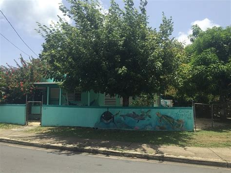 CASITA TROPICAL INN (Culebra) - Guesthouse Reviews & Photos - Tripadvisor