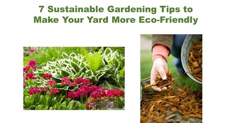 Image result for Horticulture Tips