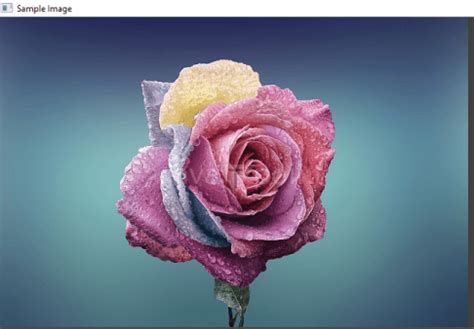 Image result for Input/Output Python Image Processing