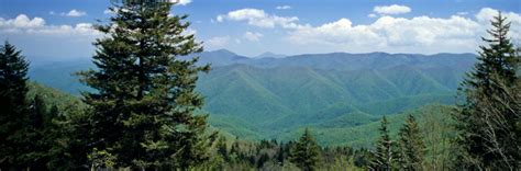 inmate-search-new-river-jail | New River Valley Regional Jail