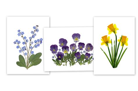 Image result for Spring Flower Cards