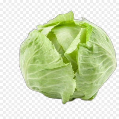Cabbase Isolated Transparent Image Png - Pngsource