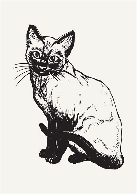 Siamese Cats Colouring