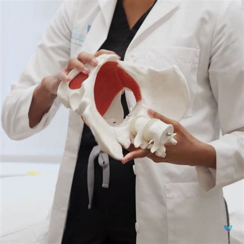 Nerve Block Injections for Endometriosis - Pelvic Rehabilitation Medicine