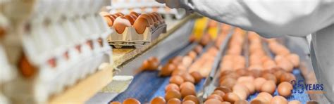 Egg Products Testing Lab in India | Eurofins India