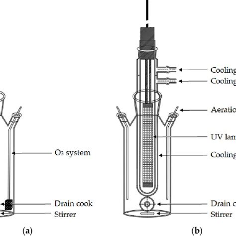 H2O2 Reactor 的图像结果