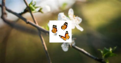 Obituary | Tammy Marie Ramey of Galax, Virginia | Vaughan Guynn Funeral ...