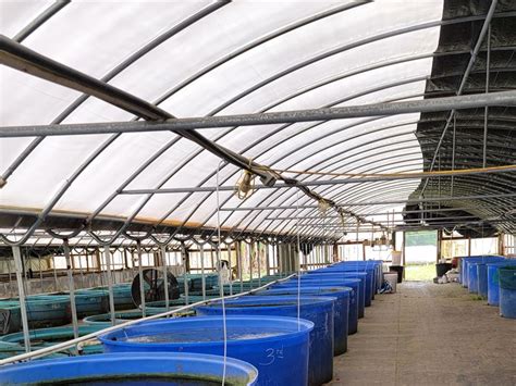 Java Tropical Fish Farm 的图像结果