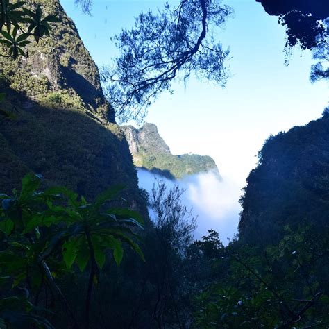 PARQUE FLORESTAL DAS QUEIMADAS Guide (2026) All You Need to Know BEFORE ...