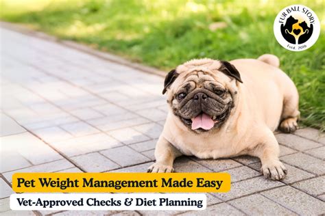 Pet Weight Management Made Easy: Vet-Approved Checks & Diet Planning ...