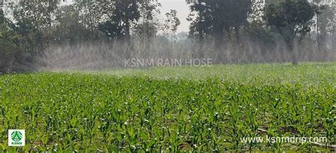 Rain Hose System - Micro Irrigation Rain Pipe Manufacturer from Coimbatore