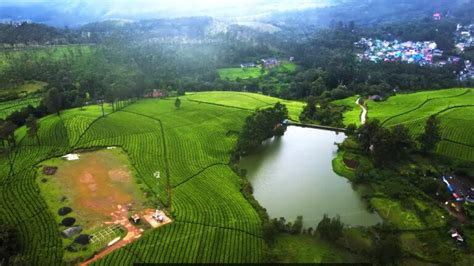 Tata Tea Museum (Munnar): History, Timings & Ticket Price!
