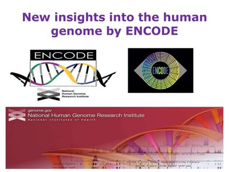Image result for ENCODE Genome