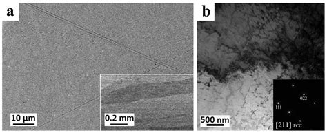 Understanding the Role of the Constituting Elements of the AlCoCrFeNi ...
