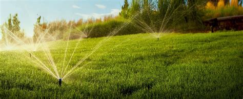 The Himachal Pradesh State Co-Operative Agriculture & Rural Development ...