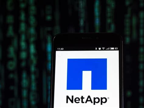 Image result for NetApp Inc
