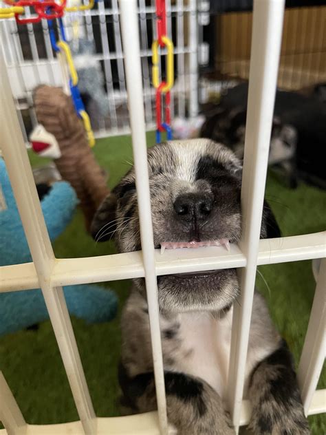 10000 best Doo Doo images on Pholder | Prequel Memes, Okbuddyretard and ...